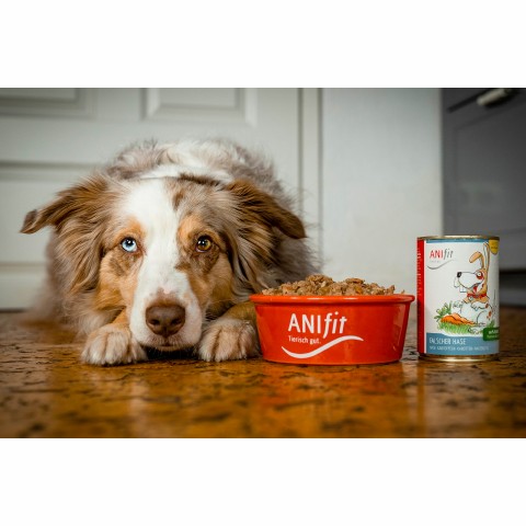 Hond Accessories Natvoer Falscher Hase 200g 6 Stuk -3- Anifit